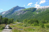 website046049.jpg