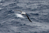 website070033.jpg