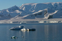 website071035.jpg