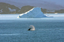 website071038.jpg