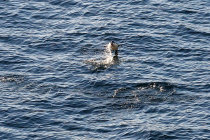 website071041.jpg