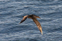website071042.jpg