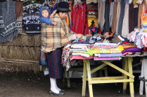 website089035.jpg