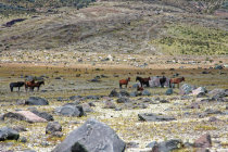 website089041.jpg