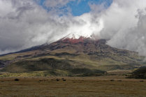 website089042.jpg
