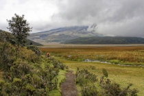 website089044.jpg