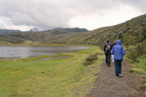 website089046.jpg