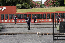 website095048.jpg