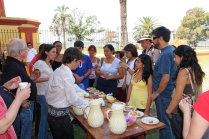 website096006.jpg