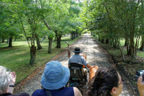 website096035.jpg