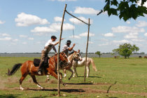 website096037.jpg