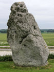 website098041.jpg