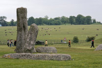website098045.jpg