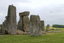 website098047.jpg