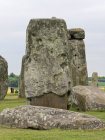 website098048.jpg