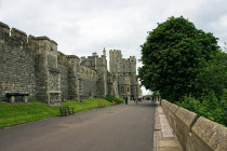 website099041.jpg