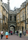 website099042.jpg