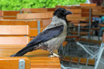 website104054.jpg