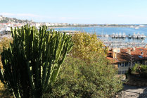 website109050.jpg