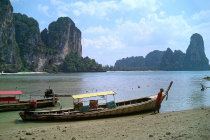 website121043.jpg
