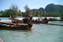 website121050.jpg