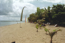 website123003.jpg