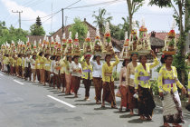 website123042.jpg
