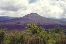 website123044.jpg