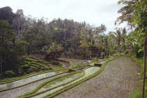 website123045.jpg