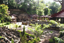 website123047.jpg