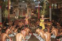 website123051.jpg