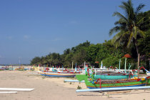 website124003.jpg