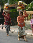 website124005.jpg