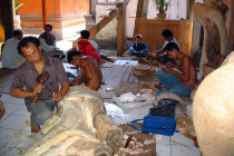 website124049.jpg