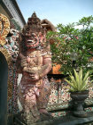 website124050.jpg