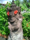 website124056.jpg