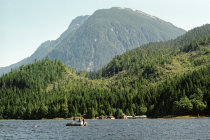 website127046.jpg