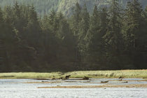 website127050.jpg