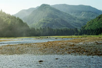 website127051.jpg