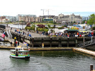 website128050.jpg