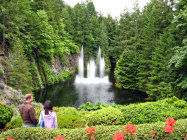 website129051.jpg