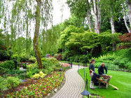 website129052.jpg