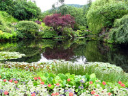 website129053.jpg