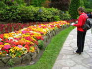 website129054.jpg