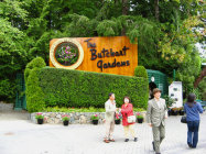 website129057.jpg