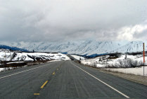 website130041.jpg