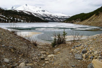 website130047.jpg
