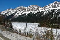 website131049.jpg