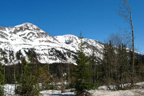 website131050.jpg