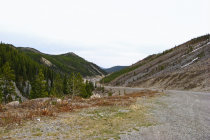 website132052.jpg